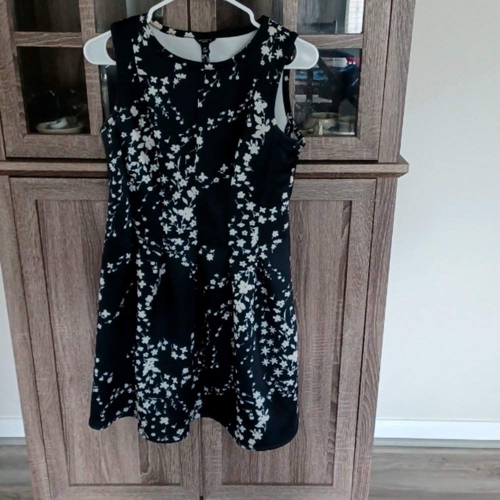 Ann Taylor petite 2P sleeveless side zip dress